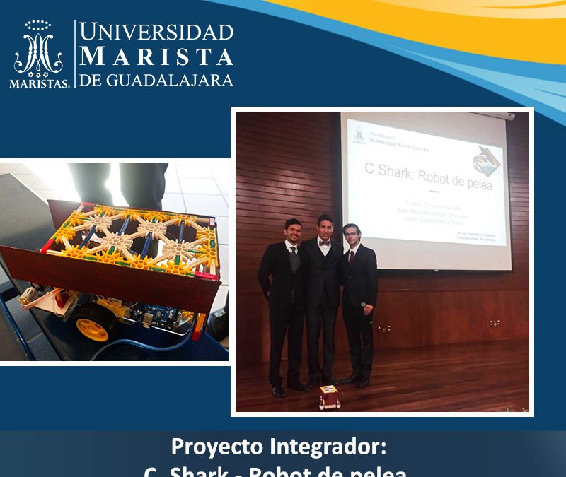 C – Shark. El robot de pelea creado por alumnos.